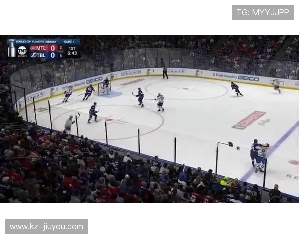 竞彩冰球投注：NHL季后赛指南，nhl冰球比分