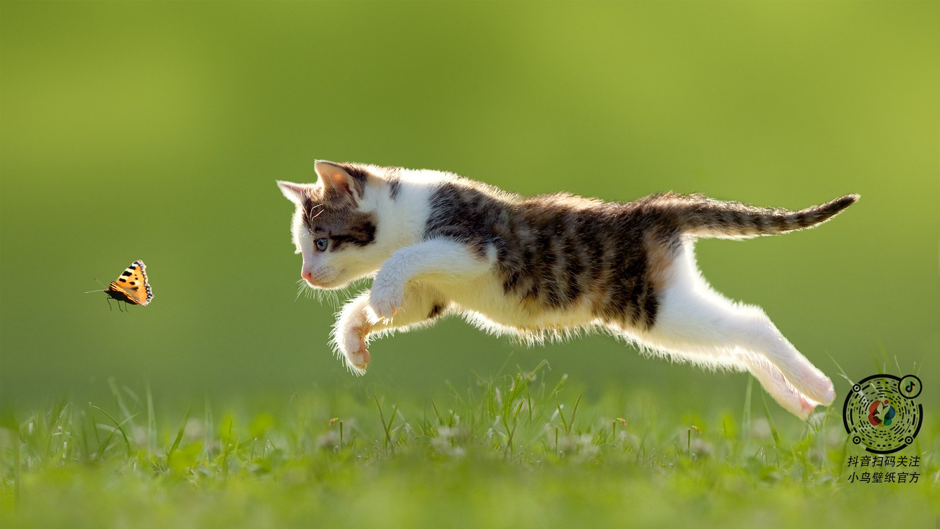 中超联赛中国青年队逆袭 技术分析展现突破，中超青年csly