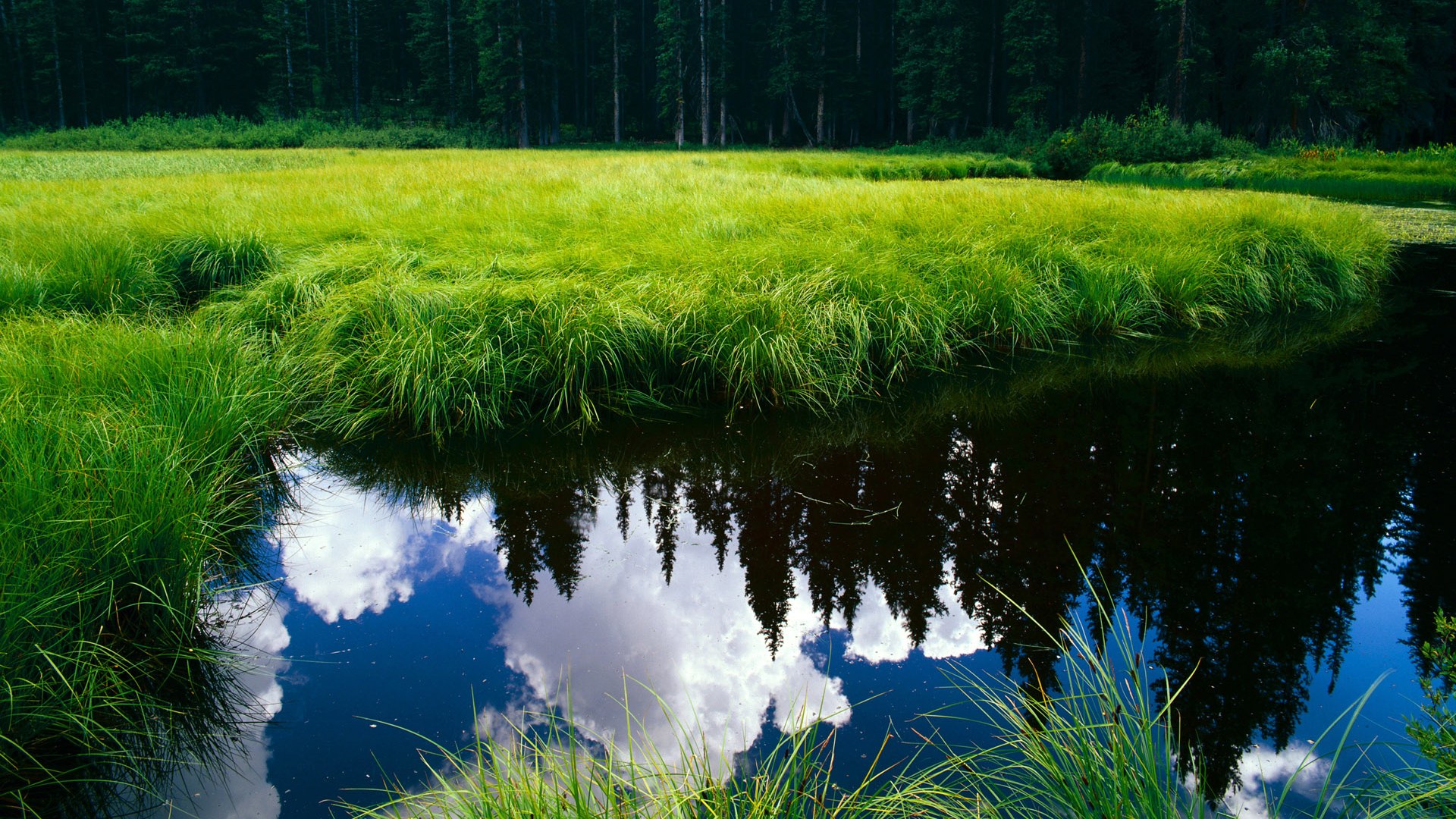 九游游戏中心官网-亚洲拳击锦标赛中国女将三金收官，亚洲拳击锦标赛中国女将三金收官了吗