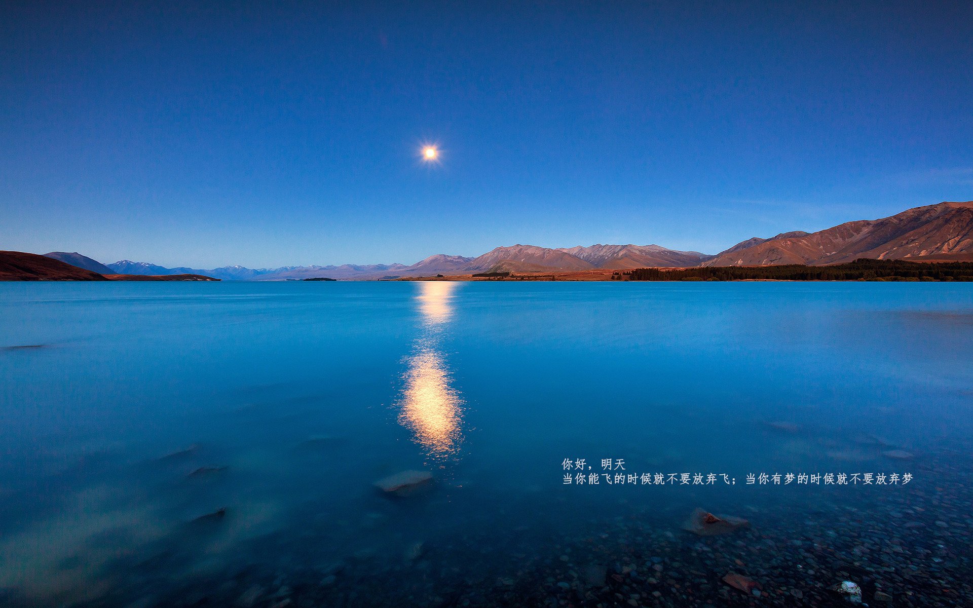 加拿大队赛制研究：赛制下如何最大化球员的技术优势，加拿大队篮球