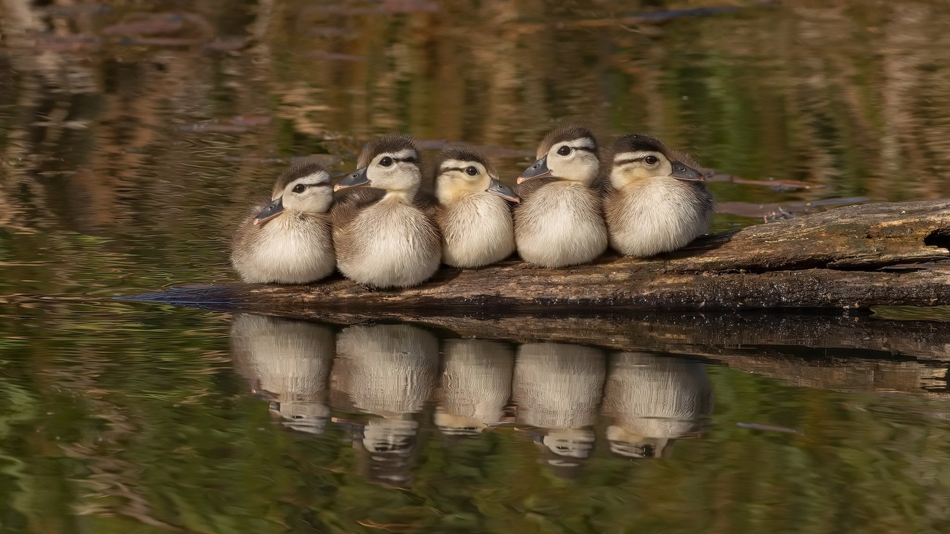 九游娱乐网站体验棒-国家队队员流动率过高影响配合默契