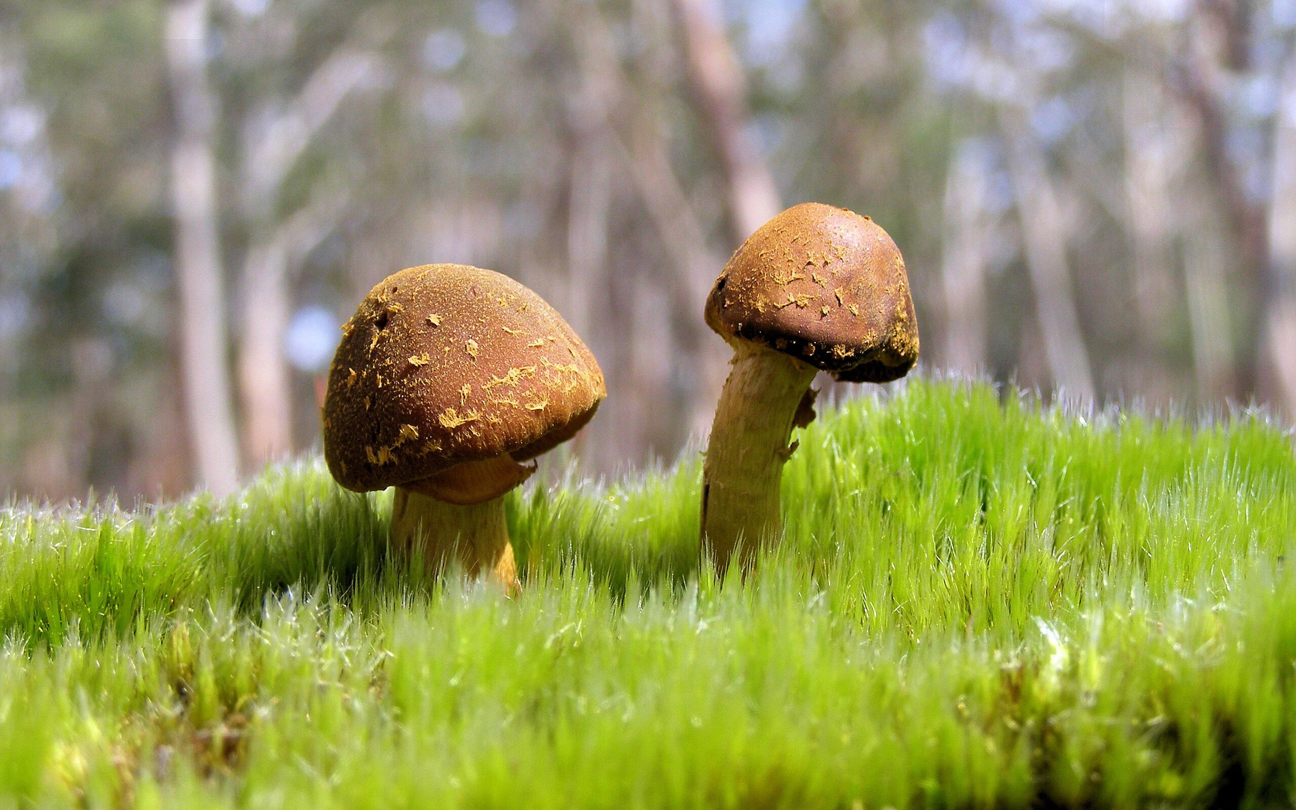 九游娱乐(jiuyou)官方网站-德国队分析：国际乒联混合团体世界杯赛制背后的战略考量，国际乒联德国公开赛