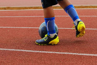 九游登录入口-明星球员带动体育产业发展，打造体育明星的弊端