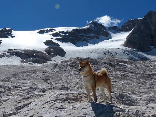 联盟中最有节奏感的进攻战术是哪种，英雄联盟节奏快的英雄