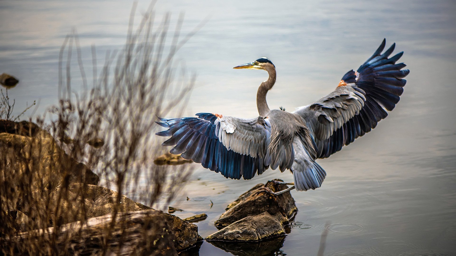九游平台官网-中国足球国家队训练营引入高科技训练设备，中国足球国家队训练营引入高科技训练设备了吗