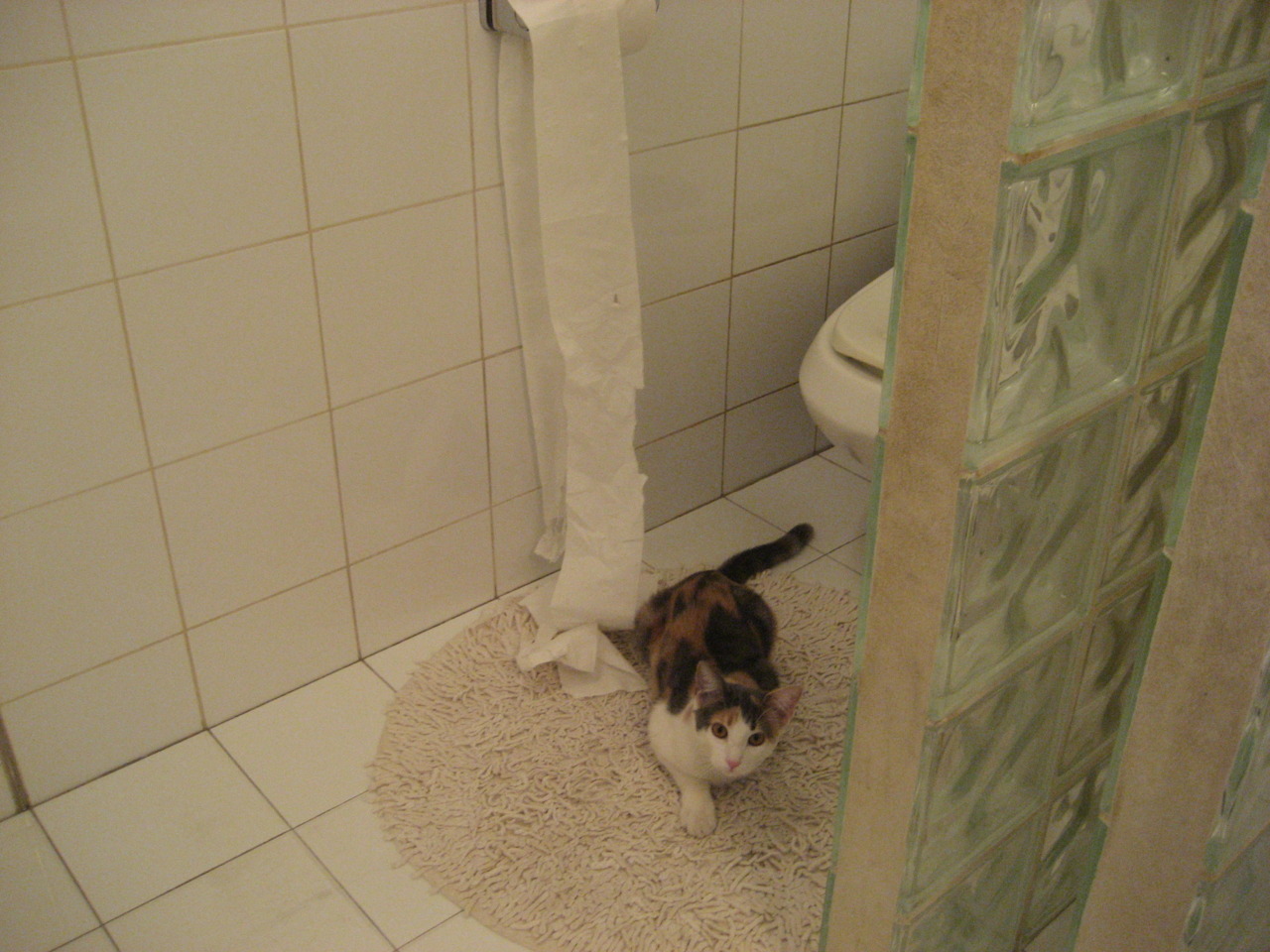 塔图姆抢断致胜凯尔特人球队重返前八，塔图姆34分 凯尔特人胜雄鹿