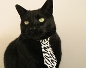 城市足球文化节成为城市文化新名片，城市足球集团官网